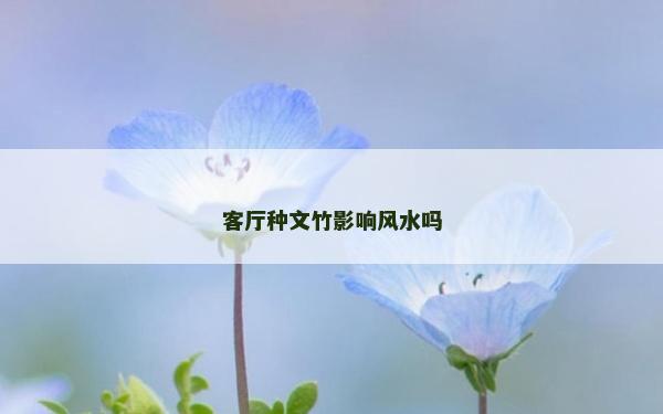 客厅种文竹影响风水吗