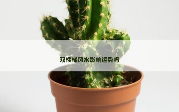 双楼梯风水影响运势吗