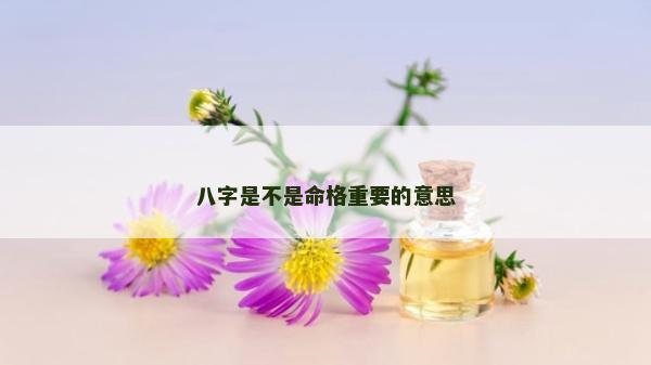 八字是不是命格重要的意思