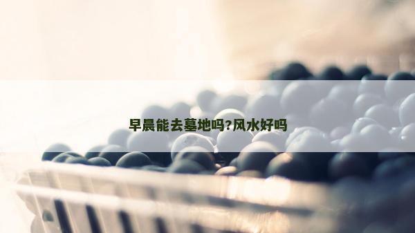 早晨能去墓地吗?风水好吗
