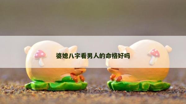 婆媳八字看男人的命格好吗