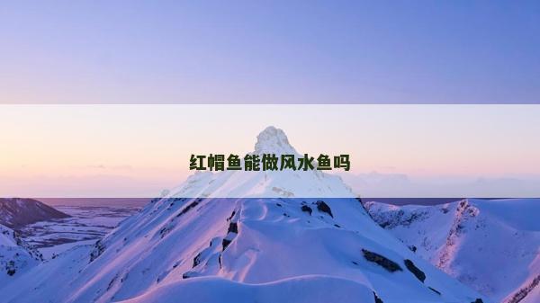 红帽鱼能做风水鱼吗