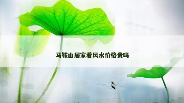马鞍山居家看风水价格贵吗