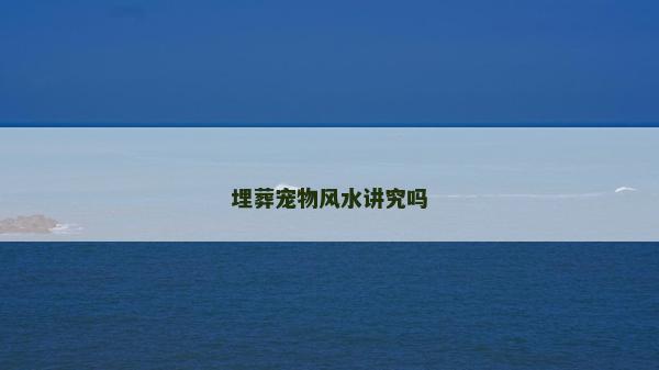 埋葬宠物风水讲究吗