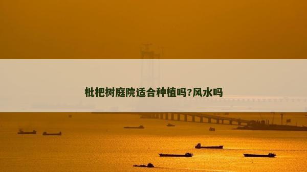 枇杷树庭院适合种植吗?风水吗