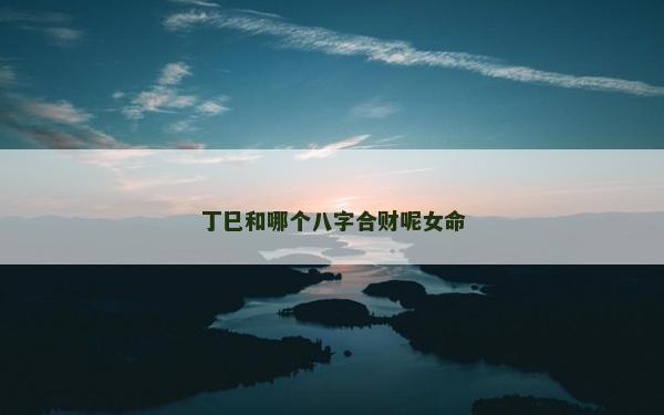 丁巳和哪个八字合财呢女命
