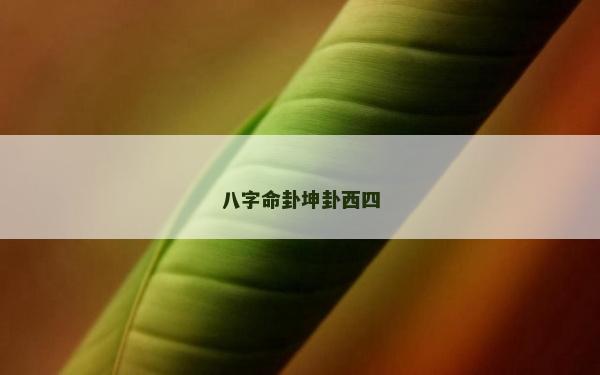八字命卦坤卦西四