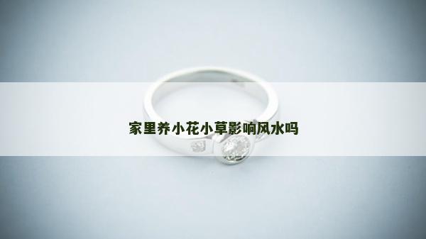 家里养小花小草影响风水吗
