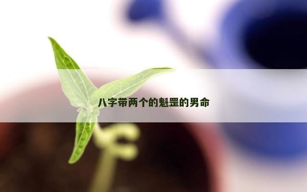 八字带两个的魁罡的男命