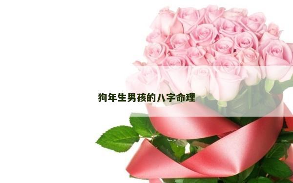 狗年生男孩的八字命理