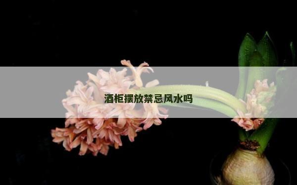 酒柜摆放禁忌风水吗