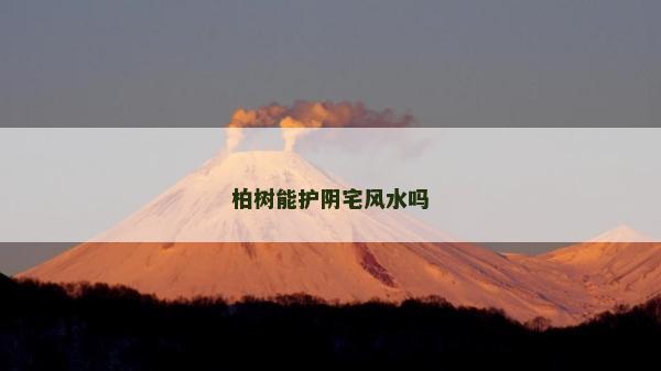 柏树能护阴宅风水吗