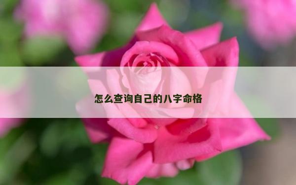 怎么查询自己的八字命格