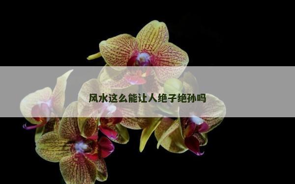 风水这么能让人绝子绝孙吗