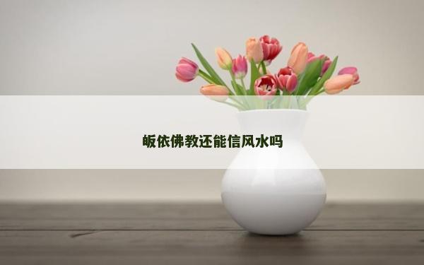 皈依佛教还能信风水吗