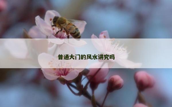 普通大门的风水讲究吗