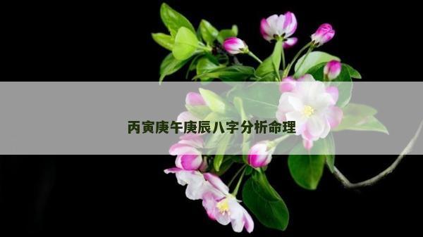 丙寅庚午庚辰八字分析命理