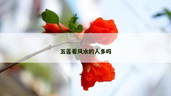 五莲看风水的人多吗