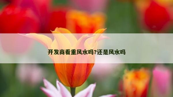 开发商看重风水吗?还是风水吗