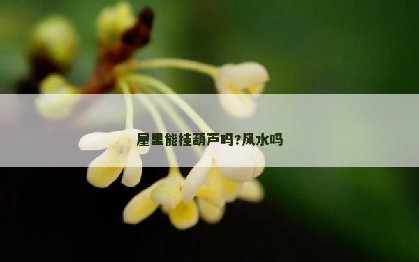 屋里能挂葫芦吗?风水吗
