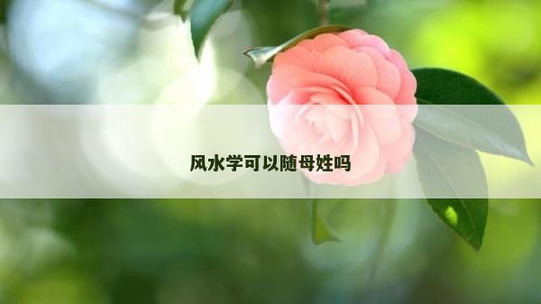 风水学可以随母姓吗
