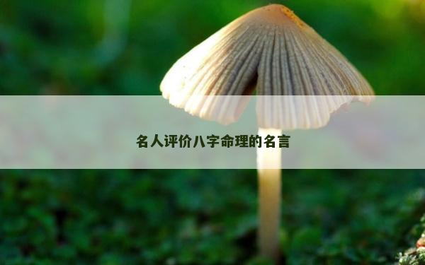 名人评价八字命理的名言