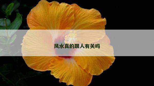 风水真的跟人有关吗