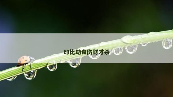 印比劫食伤财才杀