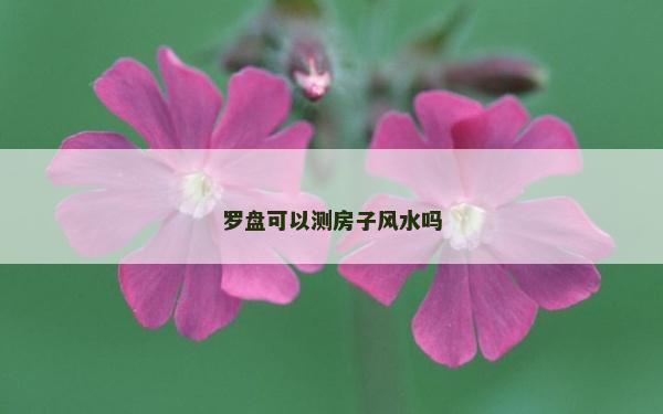 罗盘可以测房子风水吗
