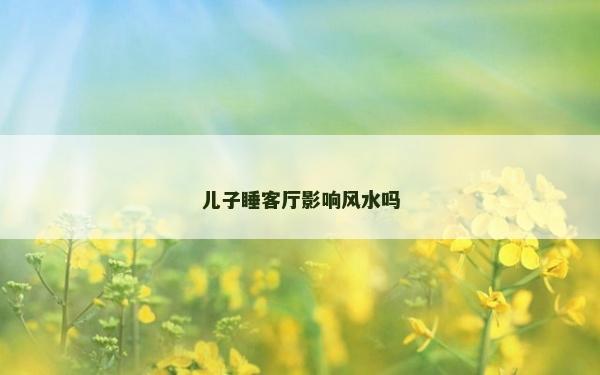 儿子睡客厅影响风水吗