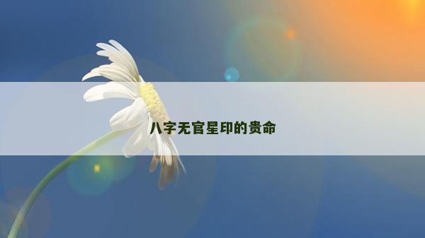 八字无官星印的贵命