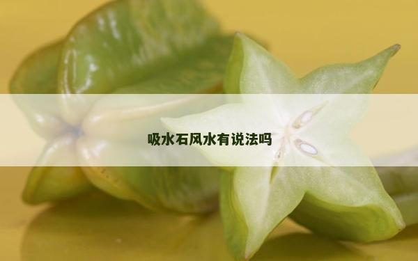 吸水石风水有说法吗