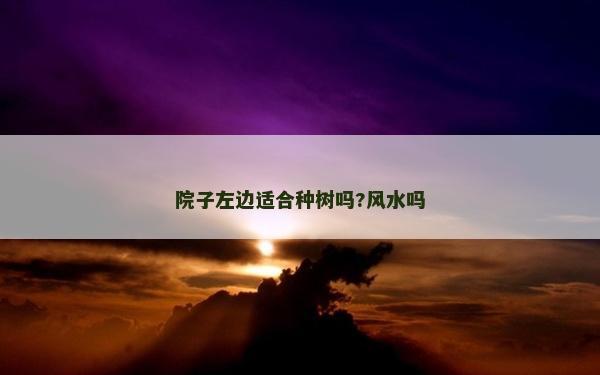 院子左边适合种树吗?风水吗