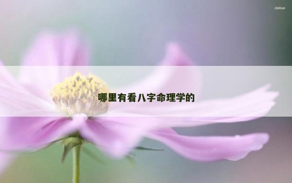 哪里有看八字命理学的