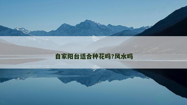 自家阳台适合种花吗?风水吗