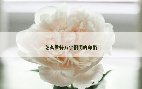 怎么看待八字相同的命格