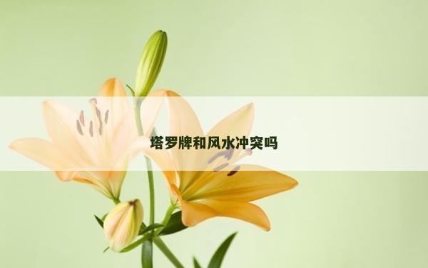 塔罗牌和风水冲突吗