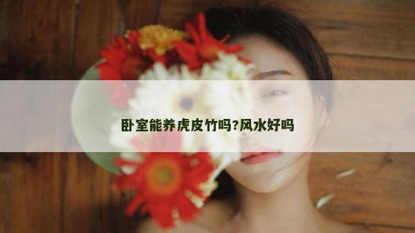 卧室能养虎皮竹吗?风水好吗