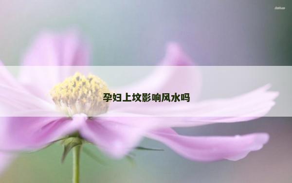 孕妇上坟影响风水吗