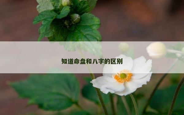 知道命盘和八字的区别