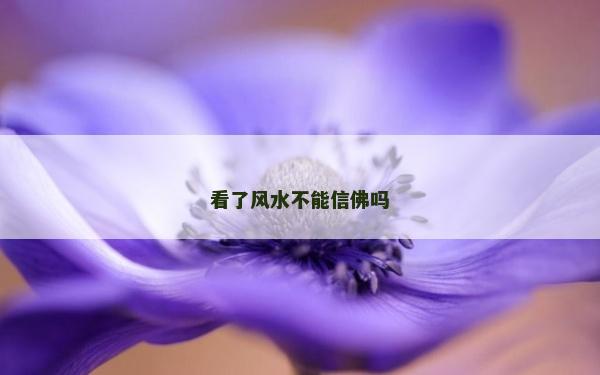 看了风水不能信佛吗