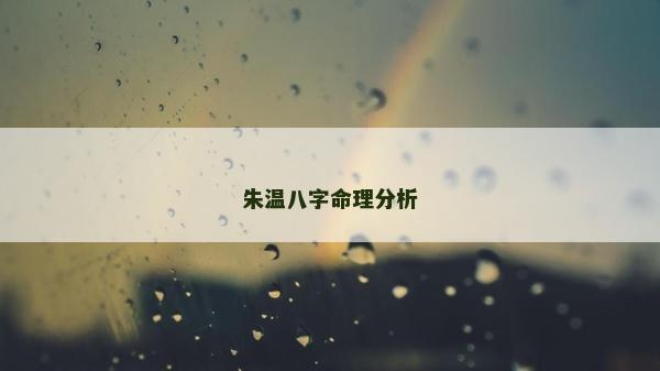 朱温八字命理分析