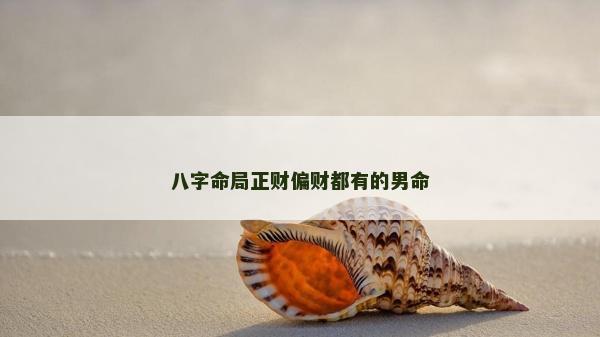 八字命局正财偏财都有的男命