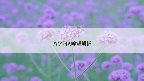 八字阳刃命理解析