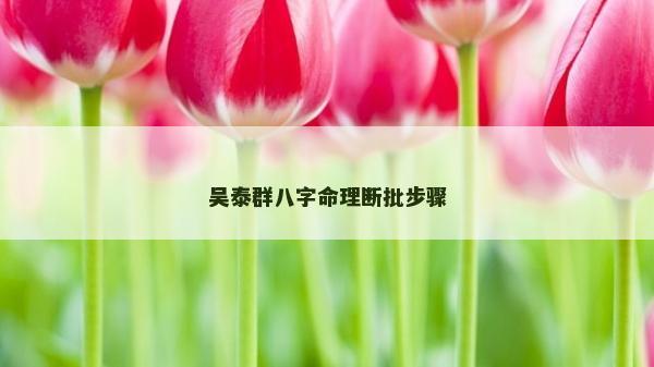 吴泰群八字命理断批步骤