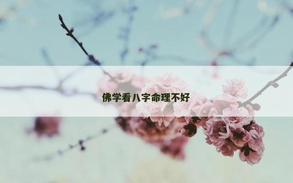 佛学看八字命理不好