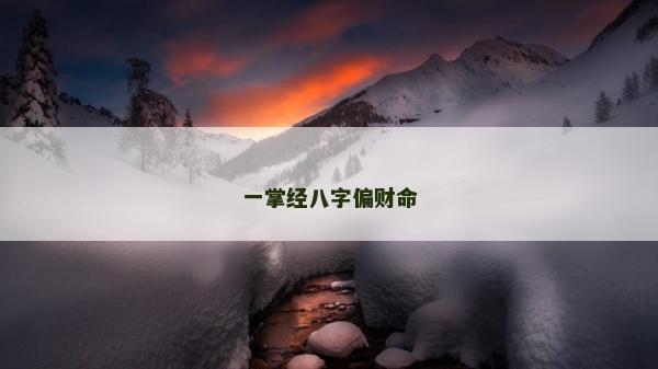 一掌经八字偏财命
