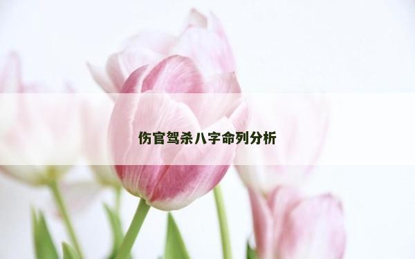 伤官驾杀八字命列分析