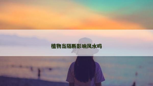 植物当隔断影响风水吗