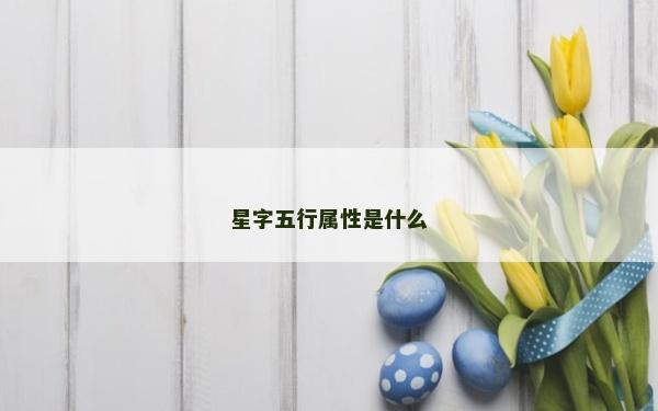 星字五行属性是什么
